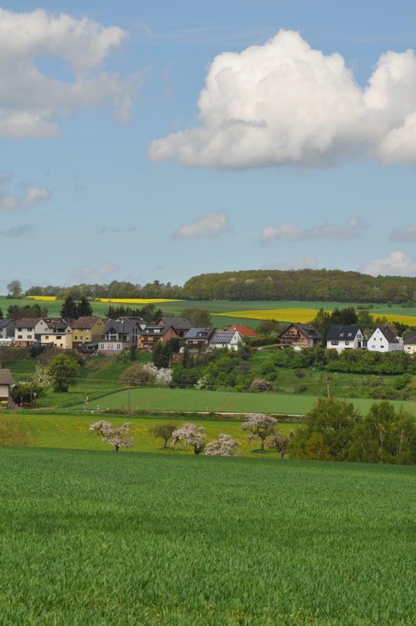 Ferienwohnung Roter Kater Am Nationalpark Eifel Bergbuir Buitenkant foto